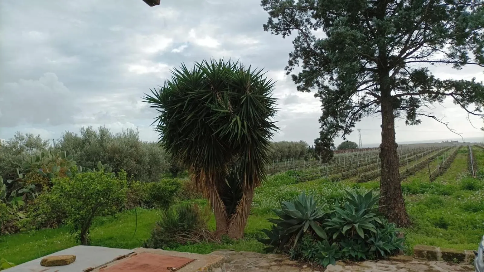 Holiday home Casa Bouganville Villetta Tra Le Vigne E Il Mare Menfi