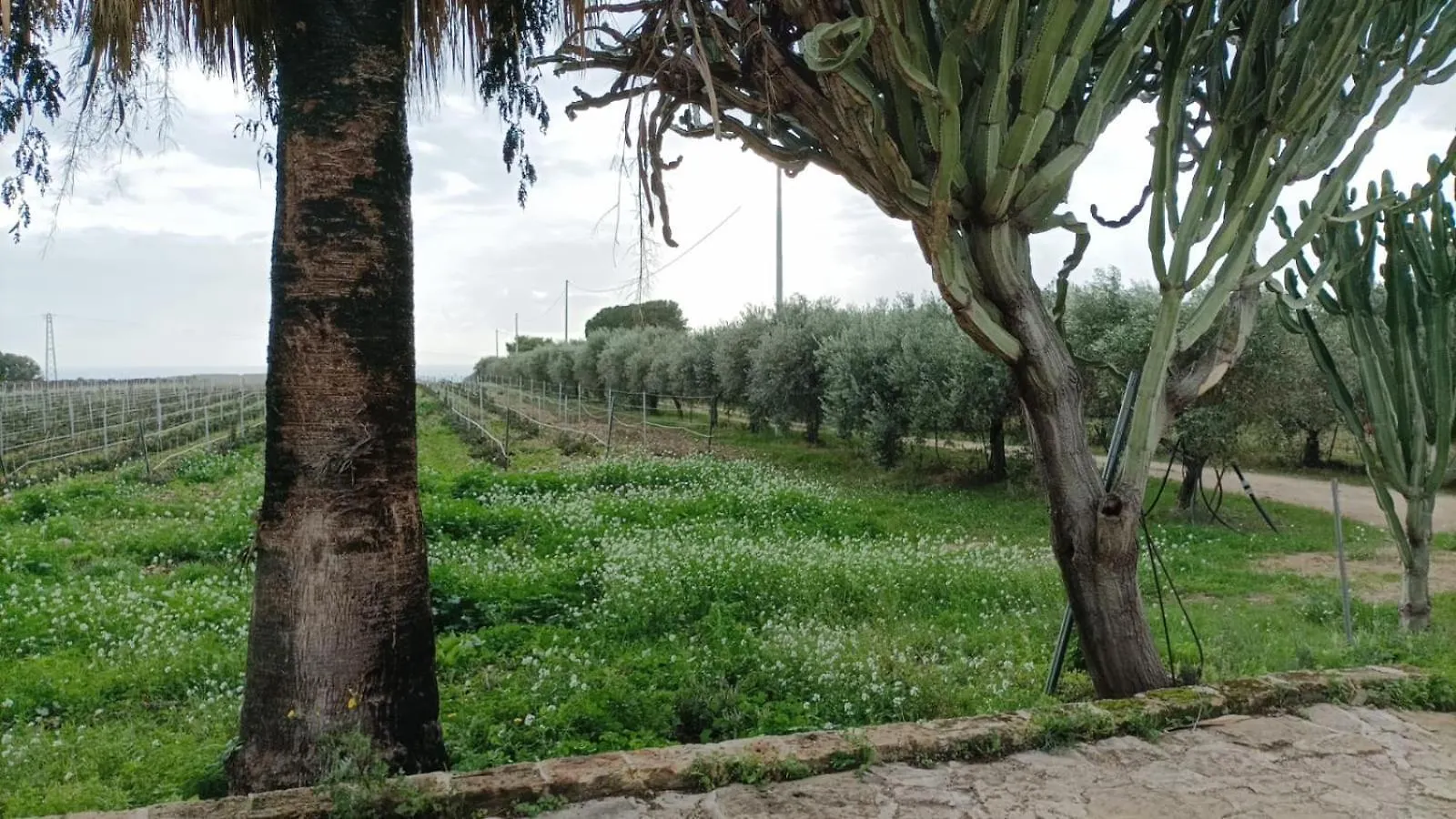 Casa Bouganville Villetta Tra Le Vigne E Il Mare Menfi 0*,