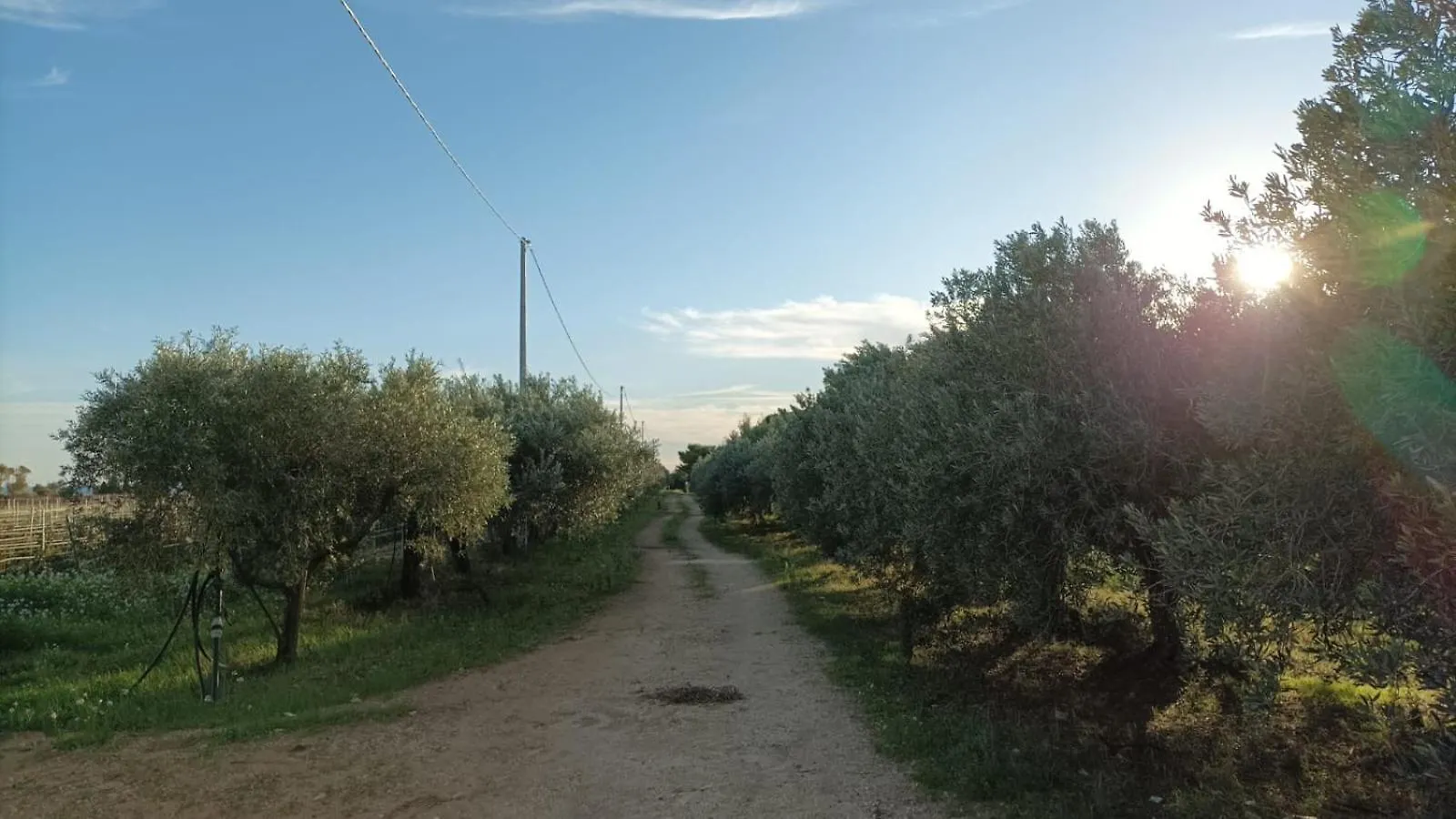 Holiday home Casa Bouganville Villetta Tra Le Vigne E Il Mare Menfi