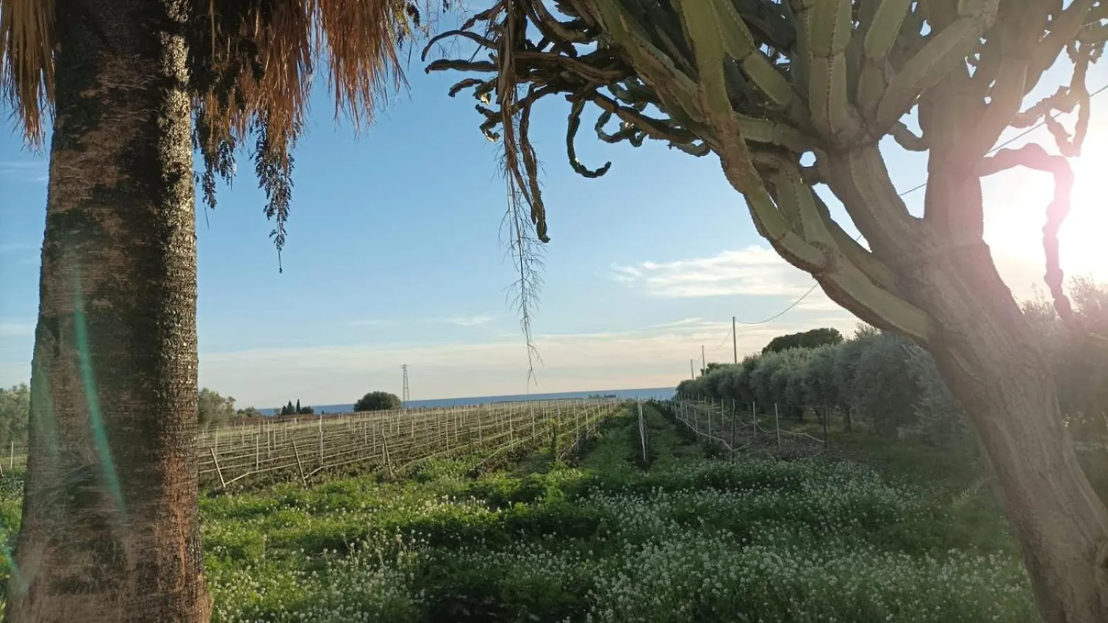 Casa Bouganville Villetta Tra Le Vigne E Il Mare Menfi Italy