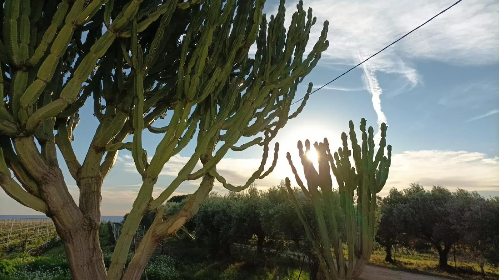 Casa Bouganville Villetta Tra Le Vigne E Il Mare Menfi